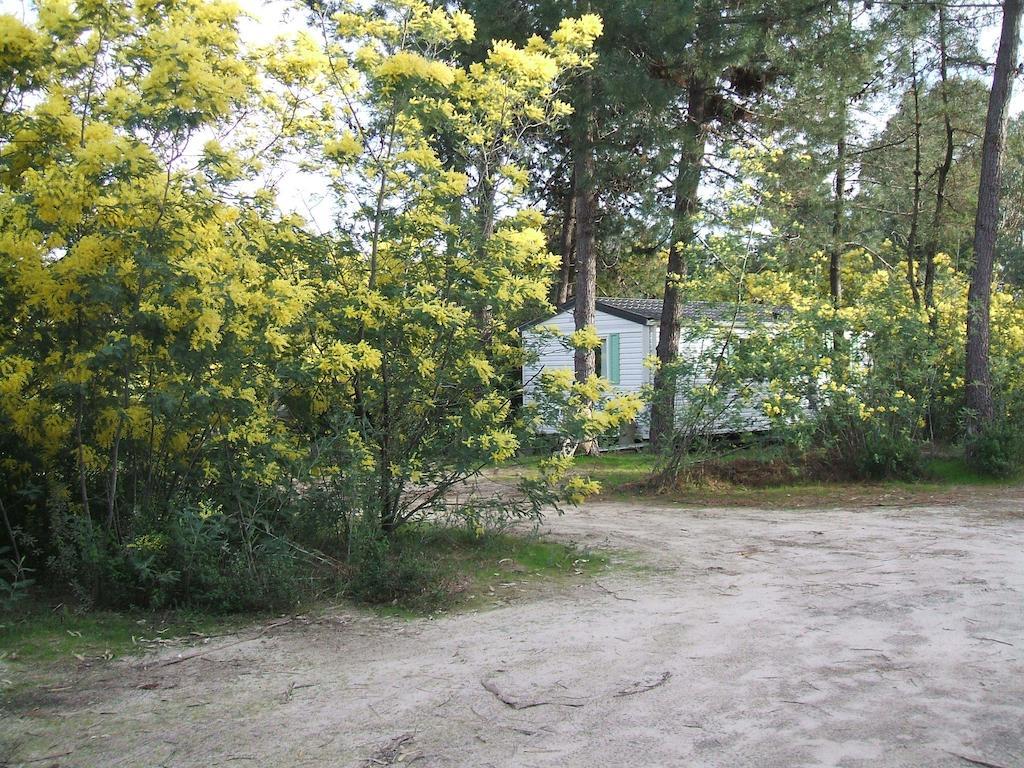 Residence Santa Ghisonaccia Exterior photo